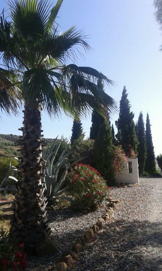 Casa Fuente De La Zorra Pensionat Álora Eksteriør billede