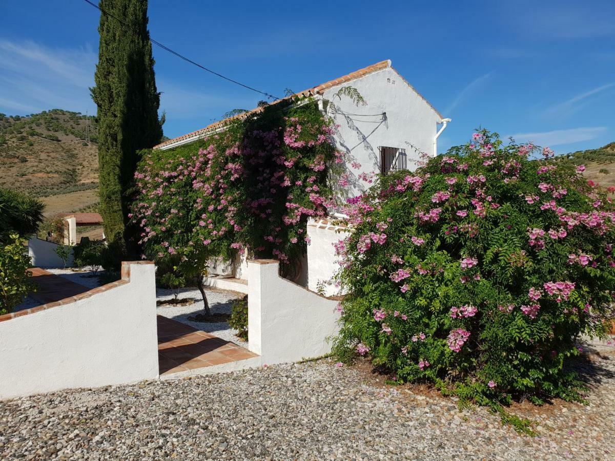 Casa Fuente De La Zorra Pensionat Álora Eksteriør billede